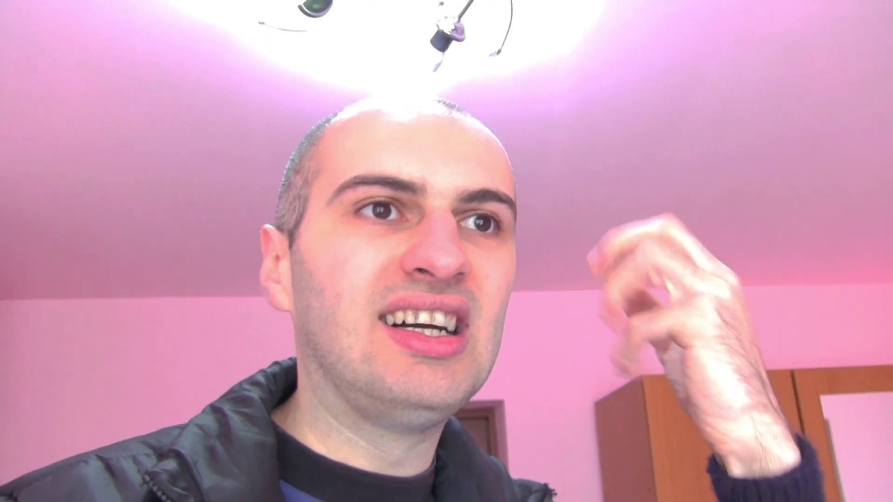 Be My Cat: A Film for Anne - Clip #2