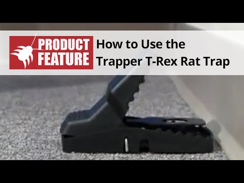  Trapper T-Rex Rat Trap Review Video 