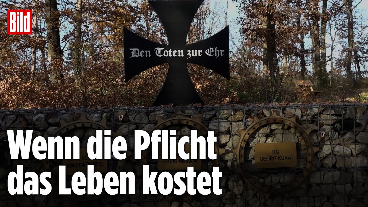 Dieser Wald ist den Toten der Bundeswehr gewidmet | BILD-Reportage