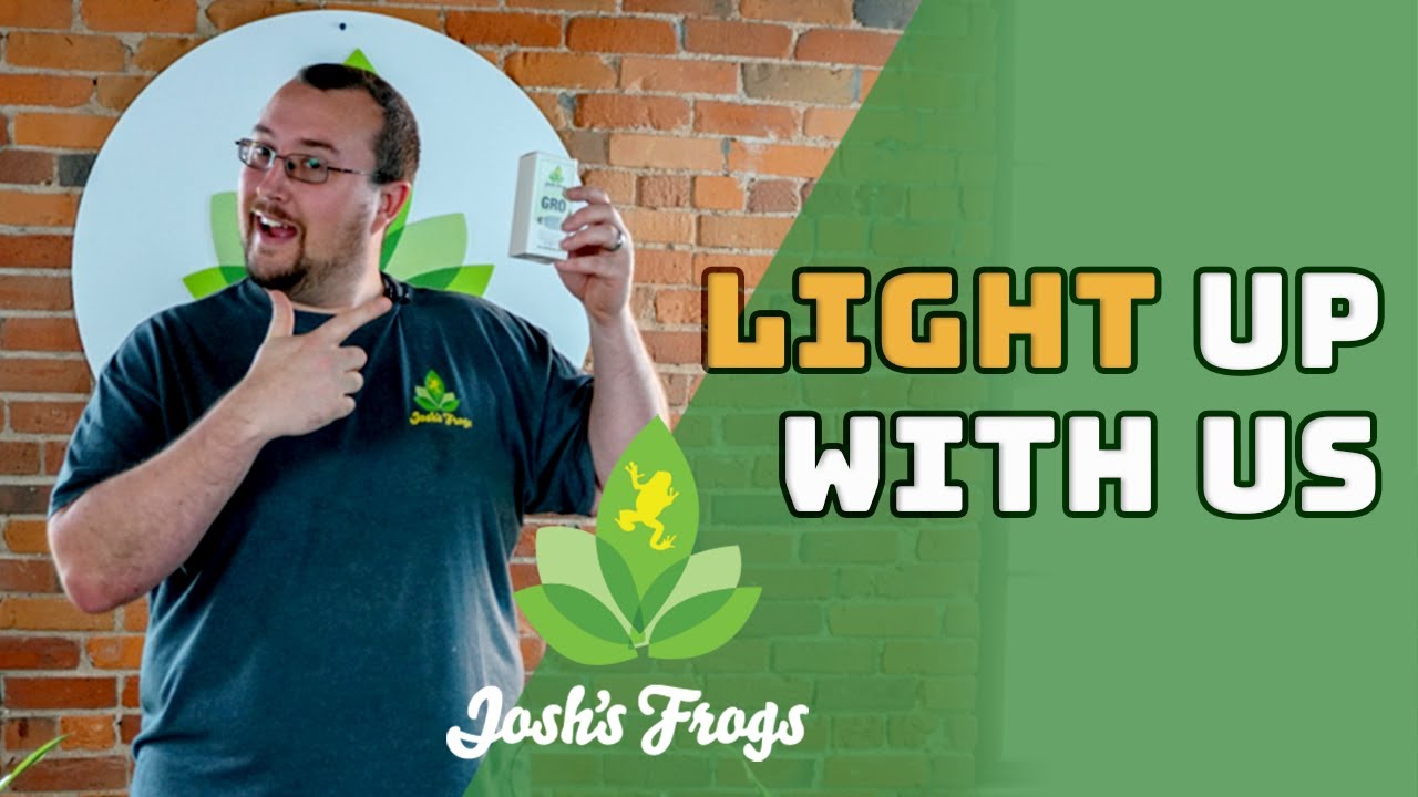 New Josh's Frogs Lighting