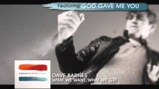 Dave Barnes - What We Want, What We Get TV Commercial