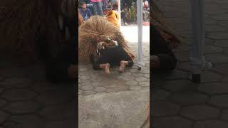 Download lagu Barongan SEKAR AJI makan Manusia Live Di Desa Kangkung mp3