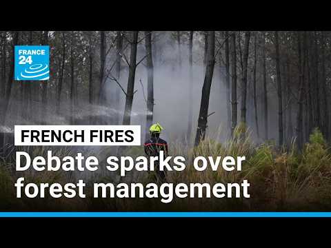 Monster fires spark debate over France's forest management
