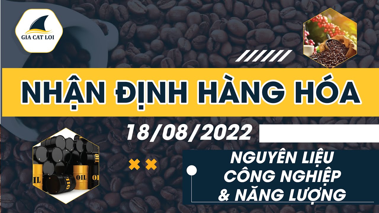 Nhận Định Thị Trường Năng Lượng & Nguyên Liệu Công Nghiệp Ngày 18/08/2022