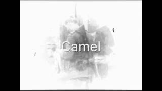 Camel  Vopos