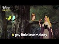 I Wonder Sleeping Beauty Lyric Video DISNEY SING ALONGS