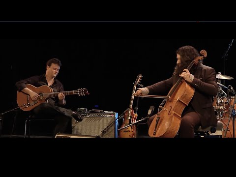 Sylvain Luc & Stefano Di Battista 4Tet - What Are You Doing - Nancy Jazz Pulsation (2014)