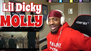 Lil Dicky - Molly feat. Brendon Urie (REACTION!!!)
