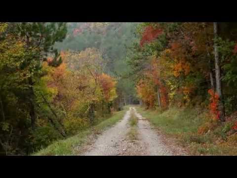 Parenzana - beautiful bike trail in Northwest Istria