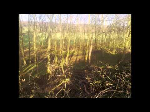 Trapped in Static - Music