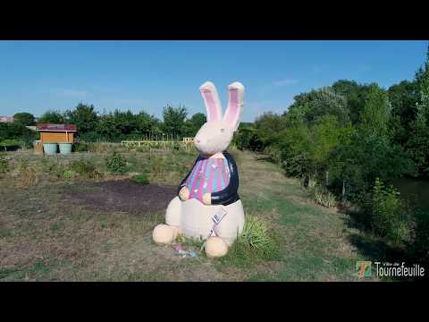 Tournefeuille par les airs