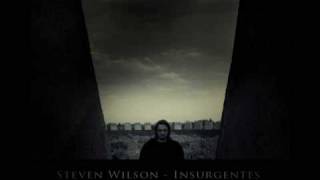 Steven Wilson Insurgentes