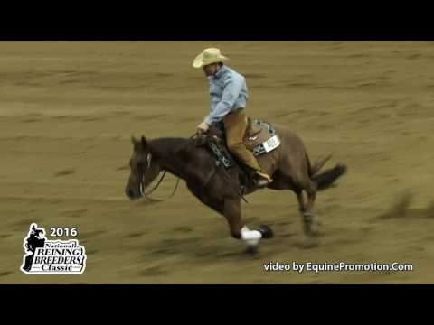 Pick N Berries ridden by James N. (Trey) Pool III  - 2016 NRBC (Open Challenge)