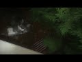 Cat Catches Bat BatCat