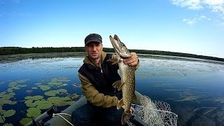 Зимняя рыбалка в петушинском районе