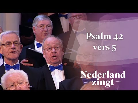 Nederland Zingt: Psalm 42 vers 5