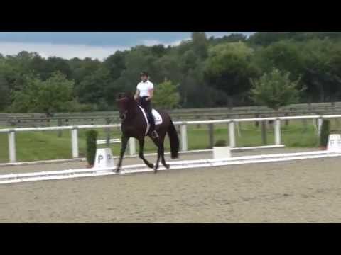 FRANZISKUS & Ingrid Klimke - 1. Sichtung WM junge Dressurpferde 18.06.2014