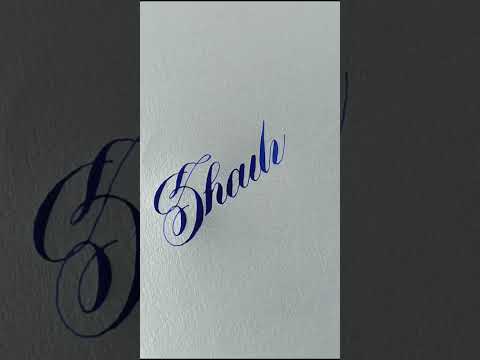 Shaily Name Akbar ki writing