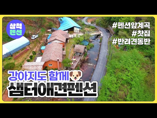 삼척 샘터애견펜션 | 애견동반가능 | 계곡앞 | 독채 | 친환경
