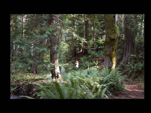 Fall Scenes of #DenmanIsland