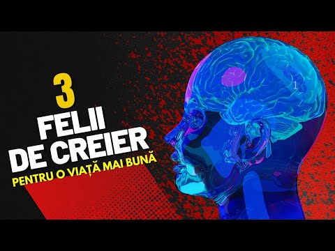 CREIERUL, PIANUL ȘI MIEZUL DE NUCĂ | MISTERELE CREIERULUI (6)