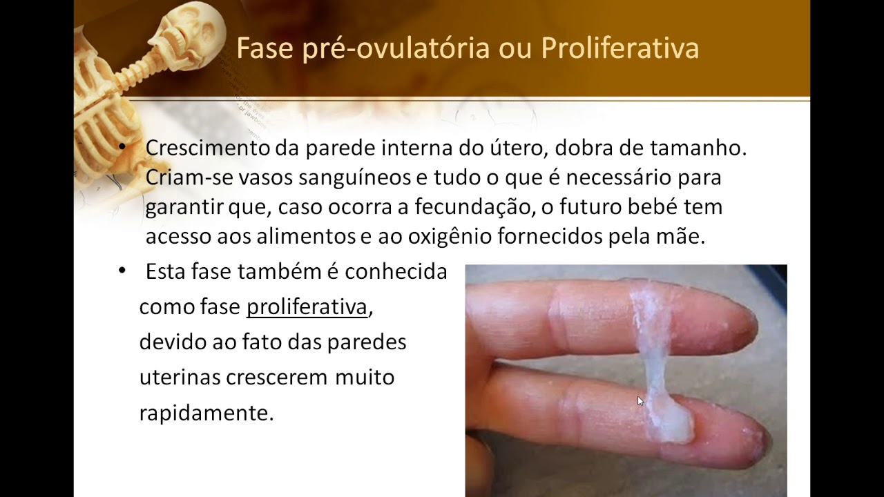 Aula J - parte 05 - Sistema Reprodutor