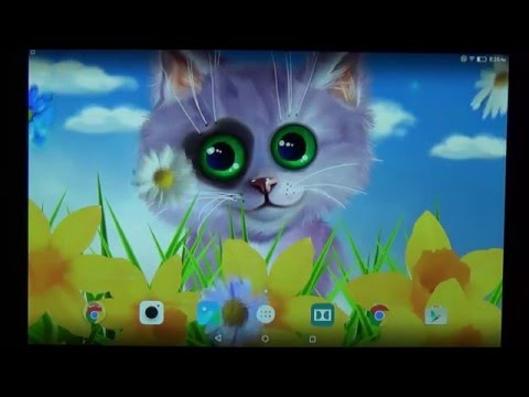 Spring Kitten Live Wallpaper Video