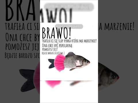 Pomożesz rybce?❤️ #łosoś #k0tt1k #Yappe #slaaay #wojanek #slay_ryba