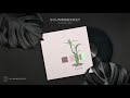 Plusma x lilac - Topfen