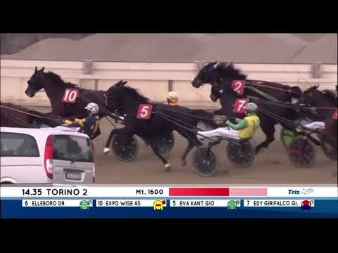 Gran Premio Orsi Mangelli Batteria A 2023 - Expo Wise As / Edy Girifalco Gio