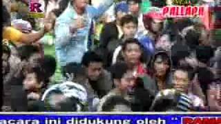 Download lagu Sakit Hati  Citra Marcelina  Special Perform by New Pallapa   YouTube mp3