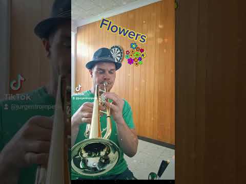Flowers by Miley Cyrus (trumpet cover)