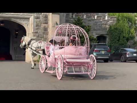 Promotional video thumbnail 4 for Ponies Will Travel - Pony Parties