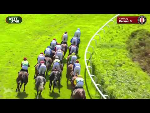 Steher Auktionsrennen