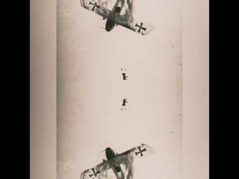 Dog Fights - Arnon Ray Pereira (Prod By The First Man)