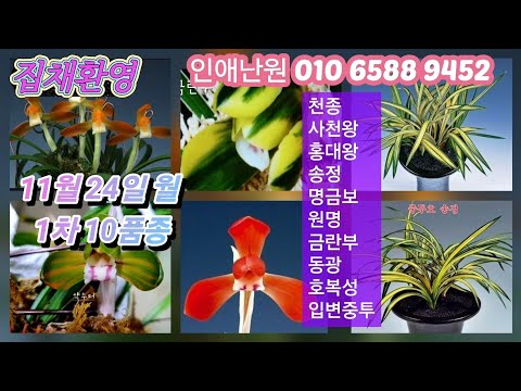 유튜브 썸네일