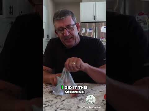 Freezing Tomatoes: A Step-by-Step Guide for Preserving Fresh Crops