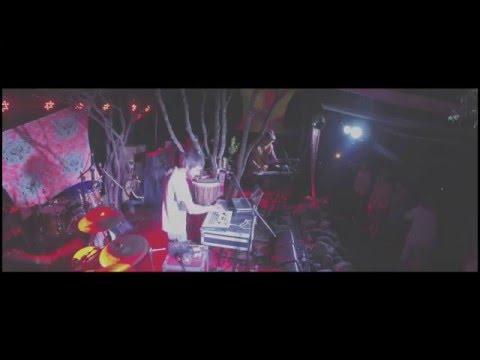 Ziddharta Woodstaco 2016