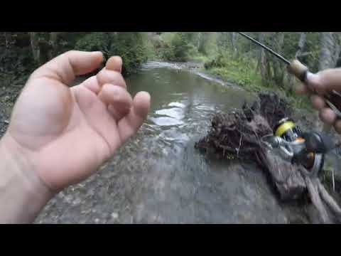 Varaličarenje potočare pred obilnu kišu.