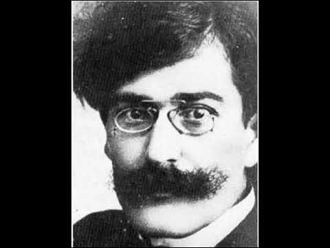 Možda spava - Vladislav Petković Dis (govori Zrinko Kapetanic)