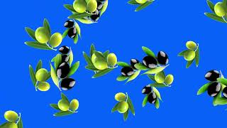 falling olive fruit on green screen/  looping olive animation green screen footage