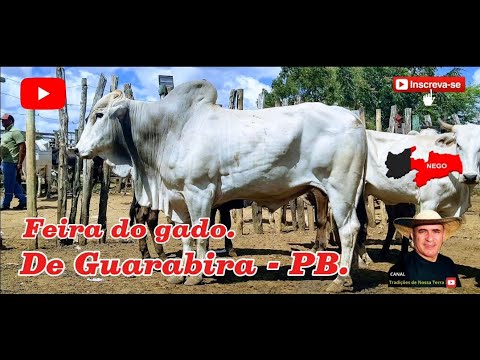 CURRAIS LOTADOS HOJE NA FEIRA DO GADO DE GUARABIRA - PB. ✅16/10/2025✅