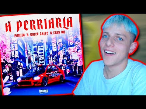 MUSICO REACCIONA a Galee Galee, Pailita, Cris Mj - A PERRIARLA (Video Oficial)