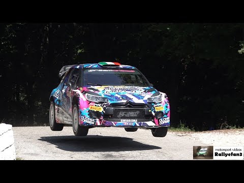 Rally della Marca 2019 Action | Jumps