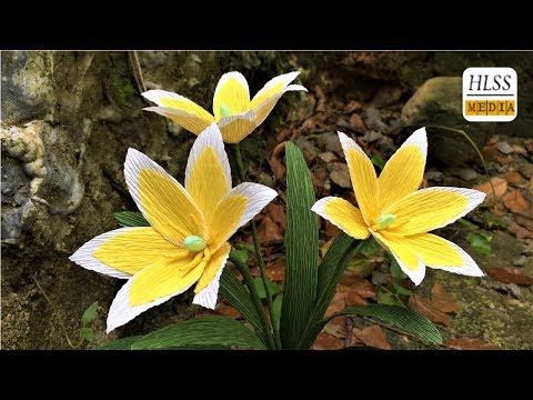 How to make tulipa tarda paper flower easy| Diy tulipa tarda crepe paper flower making tutorials
