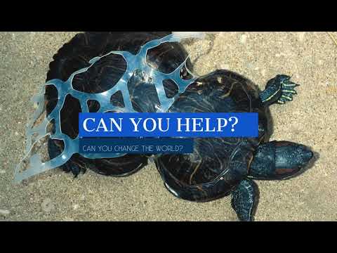 Pollution Affect on the Ocean   Lulwa Manar Aya