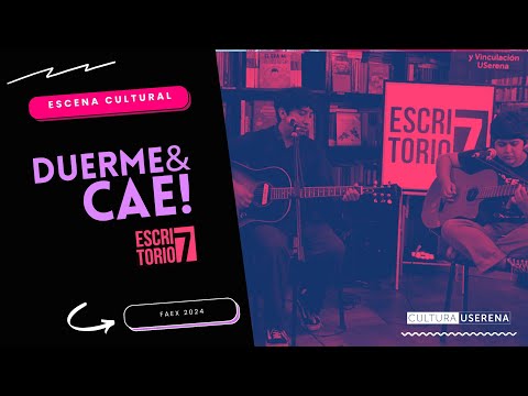 DUERME& CAE! | Escritorio 7