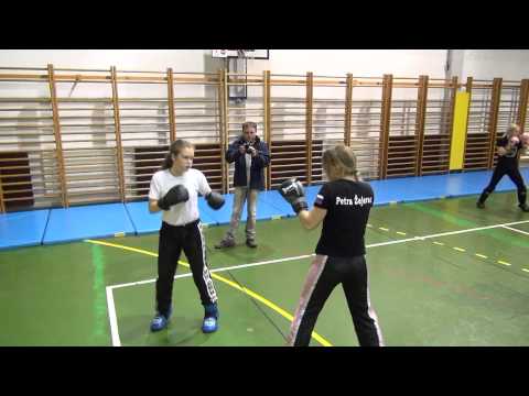 DOBER TRENING KLUBA BORILNIH VEŠČIN DOMŽALE, 27  2  2014