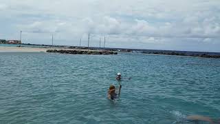 Tommy Chilling (Curacao)