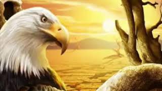 El aguila real beto quintanilla